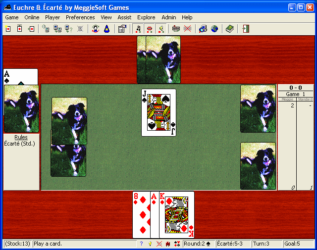 Play two-player Euchre or Ecarte against an online opponent or your computer.