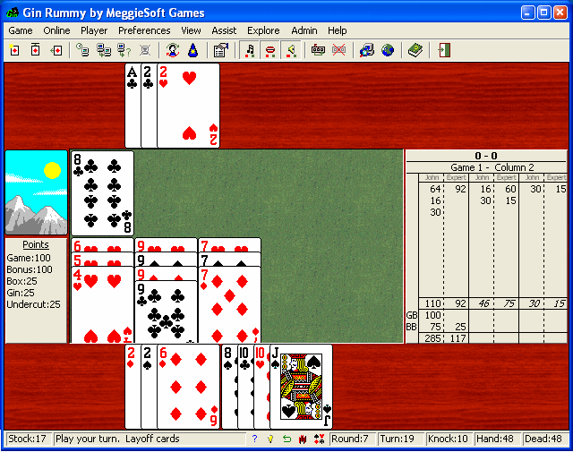 Screenshot of Gin Rummy by MeggieSoft Games 2007